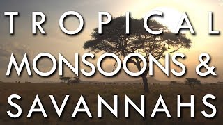 The Tropical Monsoon and Tropical Savannah Climates  Secrets of World Climate 2 [upl. by Carrissa]