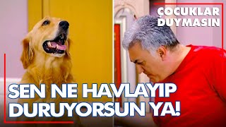 Halukun Orçunun köpeğiyle büyük sınavı 😂  Çocuklar Duymasın 10 Bölüm [upl. by Kere]