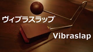 Vibraslapビブラスラップ [upl. by Aroda]