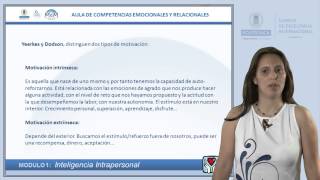 AUTOMOTIVACIÓN Motivación Intrínseca y Extrínseca [upl. by Ise36]