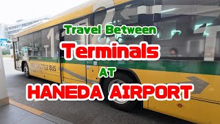 Haneda Airport Travel Between Terminals by Free Shuttle Bus [upl. by Ninetta]