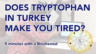 Does Tryptophan in Turkey Make You Tired 5 minutes with a Biochemist [upl. by Giulio]