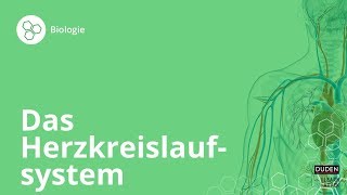 Das Herzkreislaufsystem So funktionierts – Biologie  Duden Learnattack [upl. by Neliac]