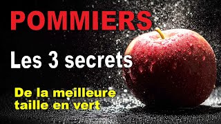 Les secrets de la meilleure taille en vert pour couvrir vos pommiers de fruits [upl. by Yhtomiht911]