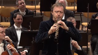 Albrecht Mayer – JS Bach Arioso from Cantata 156 Sinfonia [upl. by Christophe173]