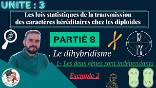 UNITÉ 3  Parti 8  le dihybridisme deux gènes indépendants  EXEMPLE 2 [upl. by Terryn]