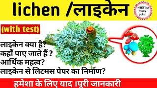 लाइकेन क्या है What Is Iichen In Hindi What Is Lichen In Biology  Economic Importance Of Lichen [upl. by Grubman432]