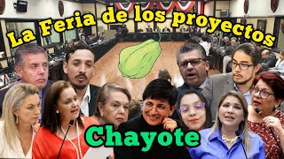 La Feria de los proyectos Chayote [upl. by Bein]