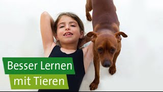 Besser lernen mit Tieren – LVRFörderschule Linnich [upl. by Leffen]