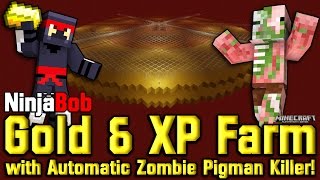 Huge Gold amp XP Farm  Nether Roof wAuto Zombie Pigmen Killer PS4PS3Xbox Console [upl. by Stannwood]