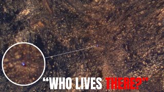 Neil deGrasse  Shocking Discovery James Webb Telescope Spots Mysterious City Lights on Proxima B [upl. by Chura]