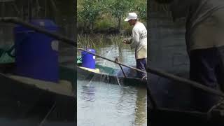 Fishing Life  Fishing Time  Fishing Vlog  FLV Official  Ep 03 [upl. by Grissom832]