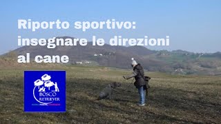 Riporto sportivo insegnare le direzioni al cane [upl. by Arabele]