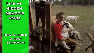 HOW TO BUILD A GOAT STANCHION  DIY HEADGATE FOR SMALL LIVESTOCK [upl. by Aylat]