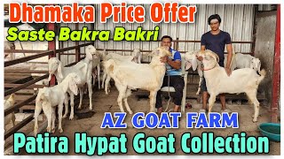 Patira Hypat Female Goat At AZ GOAT FARM  2024 Saste Palne Wale Bakra Bakri In Bhiwandi [upl. by Elamaj]