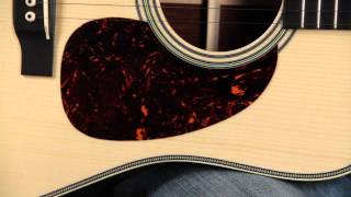 Pick Guard  Acoustic Guitar Anatomy [upl. by Sibella553]