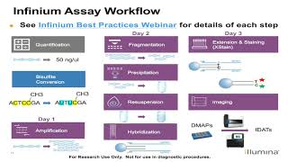 Illumina Infinium Methylation Analysis and Reporting Review [upl. by Rehpotirhc]