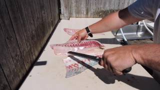 Striped Bass fillet Demo impressive [upl. by Corson]