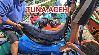 Nelayan Aceh Menangkap Ikan TUNA BESAR Laut Jangka  Best Tuna Fishing [upl. by Naesed107]