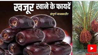 Khajur Khane ke Fayden  खजूर खाने के फायदे  Dates Benefits in Hindi [upl. by Ayadahs]