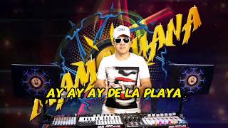 Mamajuana En la Playa Live Mix [upl. by Fachanan240]