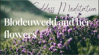 Celtic Goddess Meditations 4 Blodeuwedd and her flowers [upl. by Mendie]