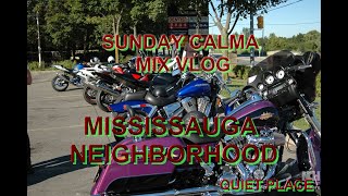 MISSISSAUGA NEIGHBORHOOD [upl. by Ardnuaed]