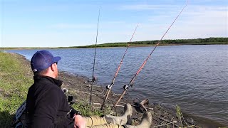 How to Catch MORE Catfish Bank Fishing [upl. by Noremak639]