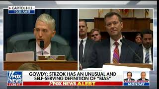 Peter Strzok Rolls His Eyes Smirks During Trey Gowdy Opening Statement [upl. by Odraleba]