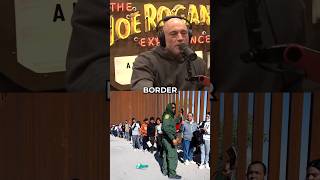 Tim Dillon on Illegal labor and Economic Migration  Joe Rogan reacts shorts joerogan [upl. by Blessington]