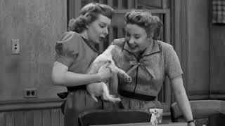 Classic TV  The Honeymooners  Episode 17 The Babysitter [upl. by Gnaoh]