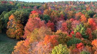 Finding The Best Fall Colors [upl. by Rusell]