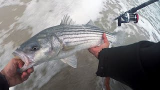 Fall STRIPED BASS Surf Fishing  DIAMOND JIG SUNSET BITE  Day STRIPES the Night [upl. by Nahtaneoj]