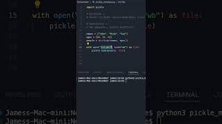 Python 3  Easy Object Serialisation python3 coding programming [upl. by Melda]