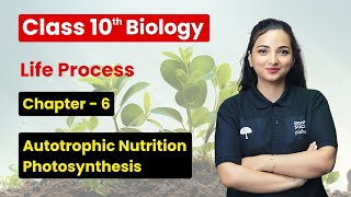 Autotrophic Nutrition Photosynthesis  Life Processes  Class 10 Biology Ch 6 CBSE Session 202425 [upl. by Emirac]