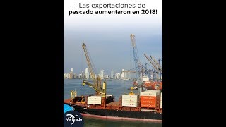 Las exportaciones de pescado colombiano aumentaron en 2018 [upl. by Retla]