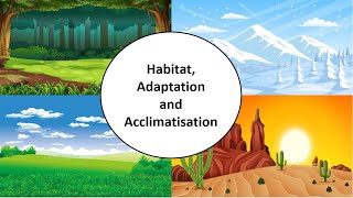 Habitat Adaptation amp Acclimatisation  Ch9  Living organisms amp their surroundingsScienceClass 6 [upl. by Ahsienad]