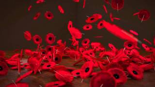 Falling poppies in blender [upl. by Natassia]