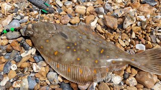 plaice fishing on the south coast sea fishing UK [upl. by Ransome252]