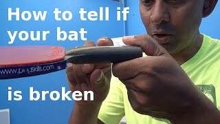 How to tell if your bat is broken  Table Tennis  PingSkills [upl. by Lashoh447]