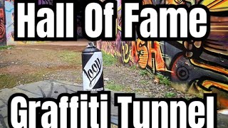 Graffiti Tunnel Hall Of Fame [upl. by Ahsekram]