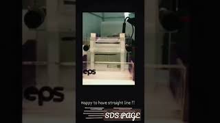 SDS PAGE Gel Electrophoresis [upl. by Esidnac880]