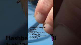 Flashback MaySB Mayfly Nymph Fly Pattern [upl. by Nivar562]