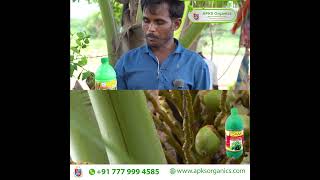 Kannada  Coconut Online Farmer MrUllagappa giving feedback about our Cocomax result [upl. by Flagler]