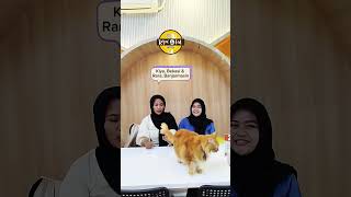 Kopi Cat Cafe by Groovy Testimonial [upl. by Tristas]