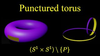 Punctured torus homeomorphism [upl. by Reivaz]