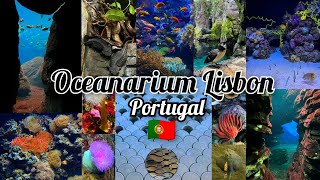 Oceanarium  Lisbon  Portugal  Second Largest Aquarium in Europe  Underwater Paradise [upl. by Lain639]