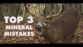 3 Things Youre Doing Wrong with Deer Minerals [upl. by Zenas]