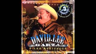 David Lee Garza y Los Musicales Vivo Enamorado De Ti [upl. by Ondine]