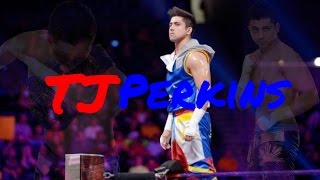 2017 TJ Perkins  AE Arena Effect HD 1080p [upl. by Abigael978]